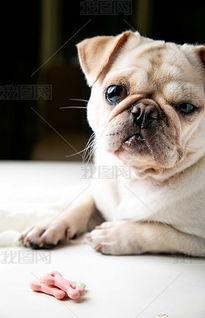 策划巴哥爆料视频下载,揭秘幕后精彩瞬间  第2张